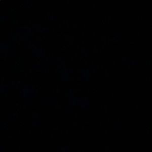 Meet your Posher, Shirley